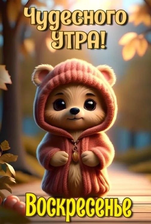 Картинки Доброе утро воскресенья (100 открыток). Прикольные картинки Доброе утро воскресенья