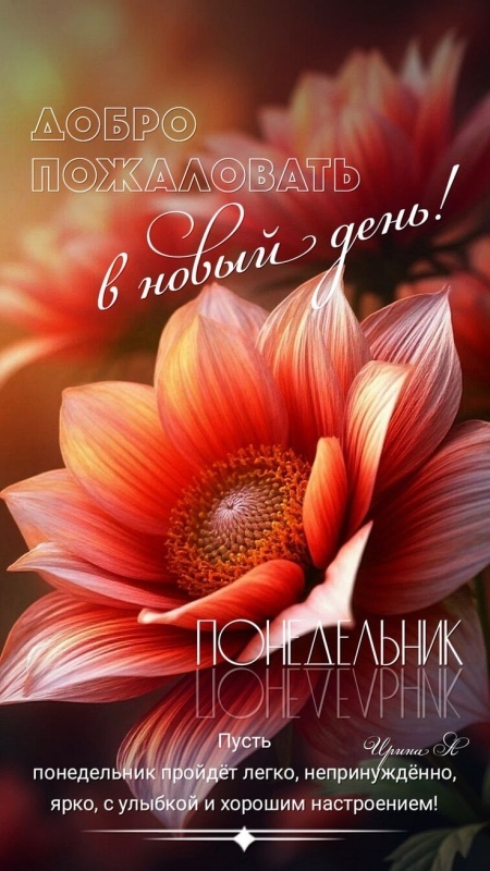 Картинки "Доброе утро понедельника" . Красивые картинки Доброе утро понедельника