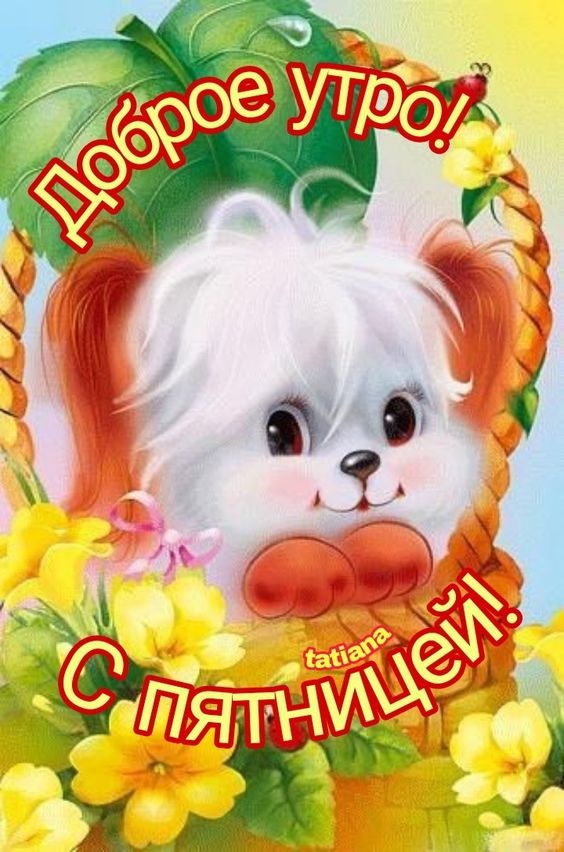 Картинки Доброе утро пятницы. Картинки Доброе утро пятницы прикольные 