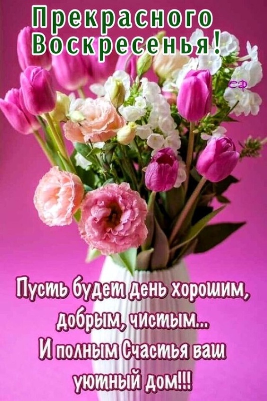 Картинки Доброе утро воскресенья (100 открыток). Картинки с надписью "Доброе утро воскресенья"