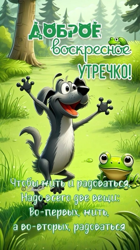Картинки Доброе утро воскресенья (100 открыток). Прикольные картинки Доброе утро воскресенья