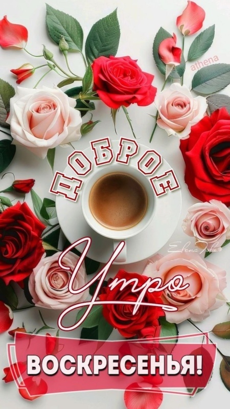 Картинки Доброе утро воскресенья (100 открыток). Красивые картинки "Доброе утро воскресенья"