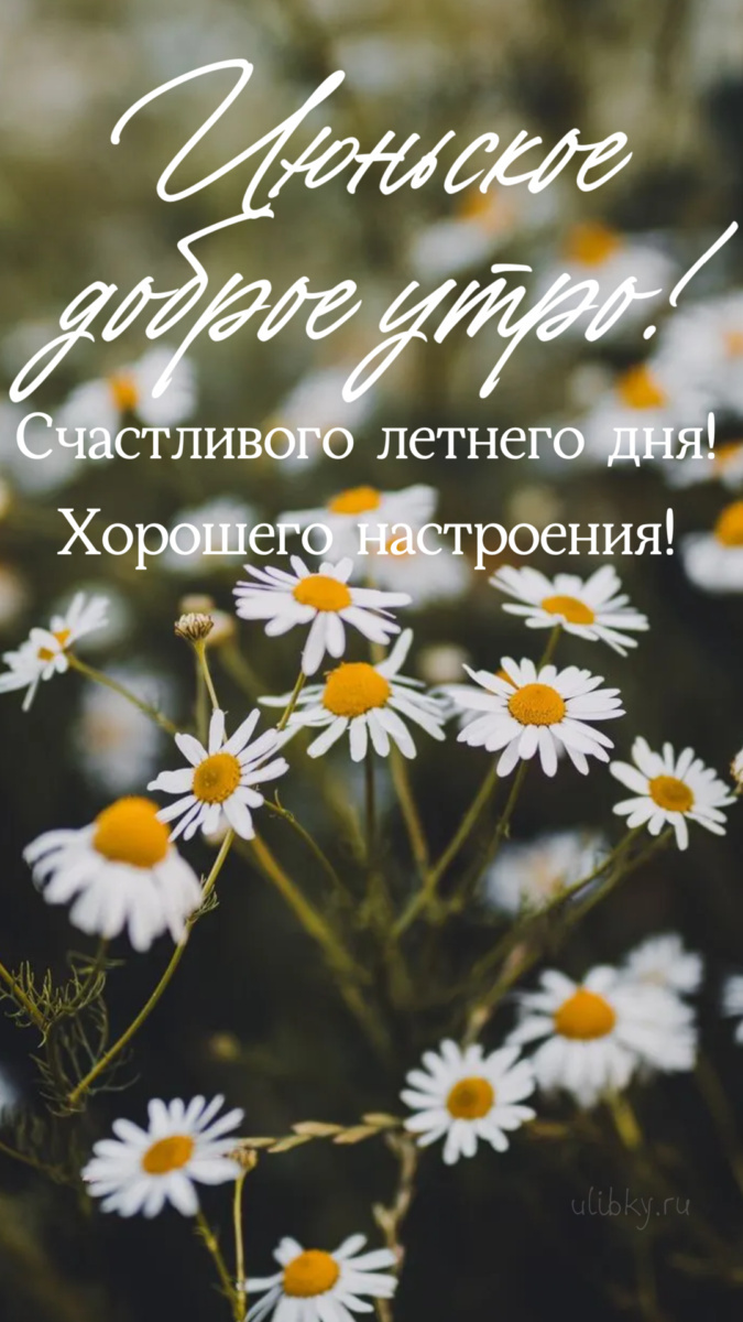 Картинки с добрым июньским утром (140 открыток). Позитивные картинки с пожеланием Доброго июньского утра