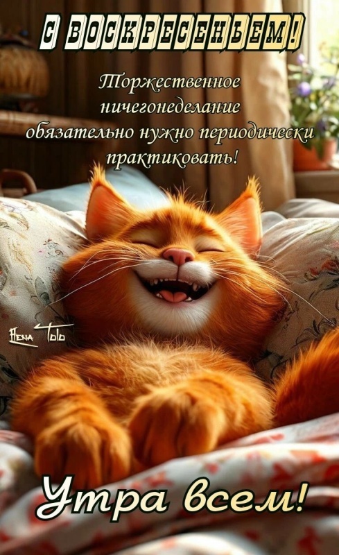Картинки Доброе утро воскресенья (100 открыток). Прикольные картинки Доброе утро воскресенья
