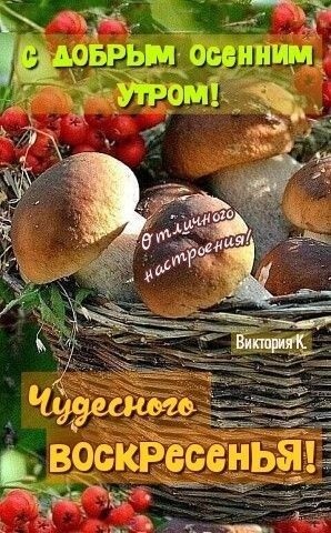 Картинки Доброе утро воскресенья (100 открыток). Картинки с надписью "Доброе утро воскресенья"