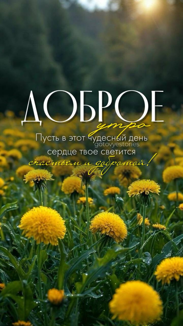 Картинки с добрым летним утром (70 открыток). Красивые картинки Доброе летнее утро