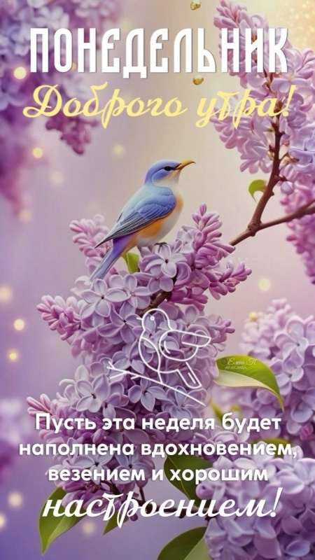 Картинки "Доброе утро понедельника" . Красивые картинки Доброе утро понедельника
