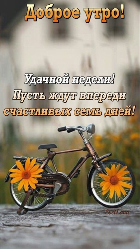 Картинки "Доброе утро понедельника" . Красивые картинки Доброе утро понедельника