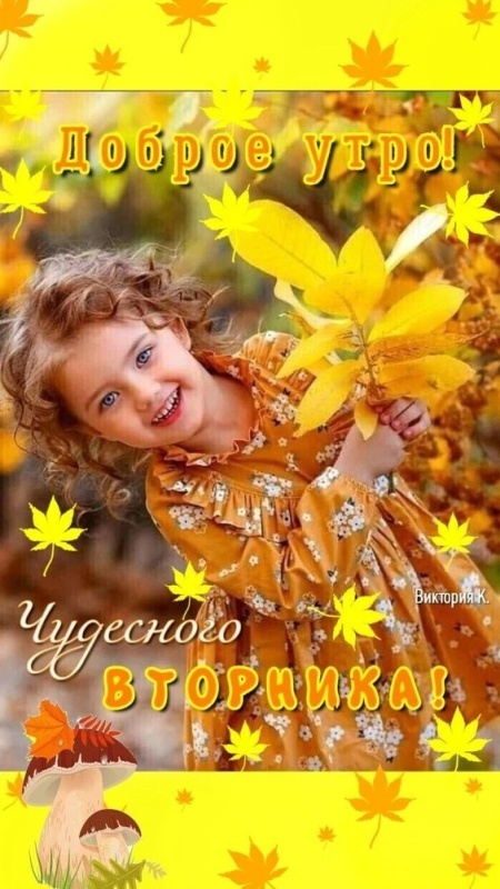 Картинки "Доброе утро понедельника" . Прикольные картинки с добрым утром понедельника