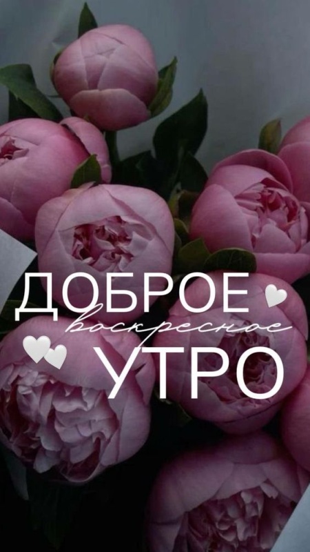 Картинки Доброе утро воскресенья (100 открыток). Красивые картинки "Доброе утро воскресенья"