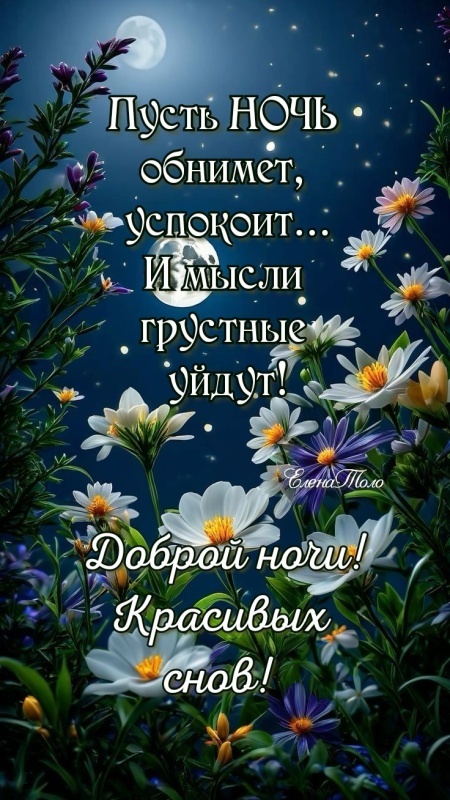Картинки "Доброй летней ночи". Красивые открытки Доброй летней ночи с цветами