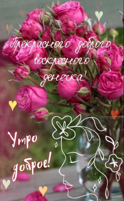 Картинки Доброе утро воскресенья (100 открыток). Красивые картинки "Доброе утро воскресенья"