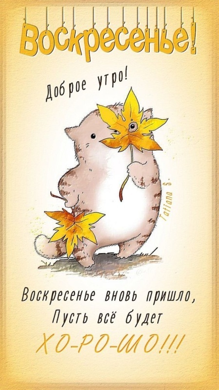 Картинки Доброе утро воскресенья (100 открыток). Прикольные картинки Доброе утро воскресенья
