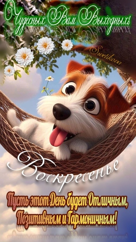 Картинки Доброе утро воскресенья (100 открыток). Прикольные картинки Доброе утро воскресенья