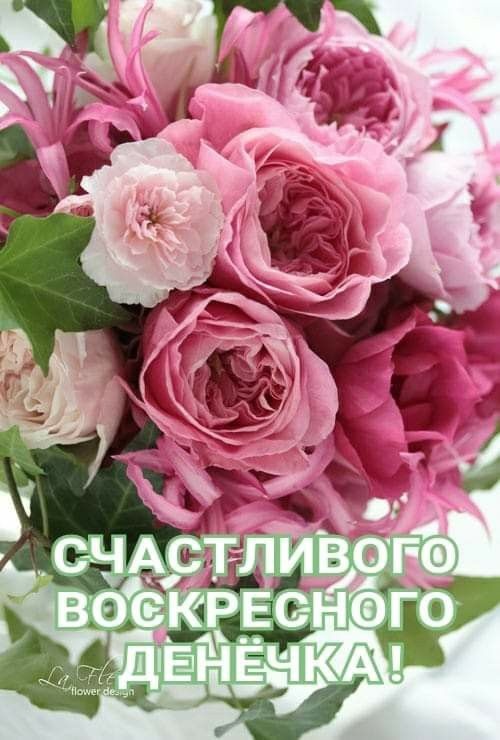 Картинки Доброе утро воскресенья (100 открыток). Картинки с надписью "Доброе утро воскресенья"