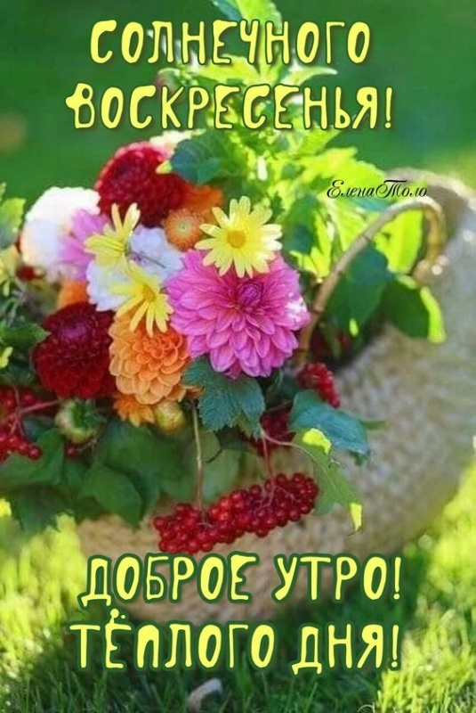 Картинки Доброе утро воскресенья (100 открыток). Картинки с надписью "Доброе утро воскресенья"