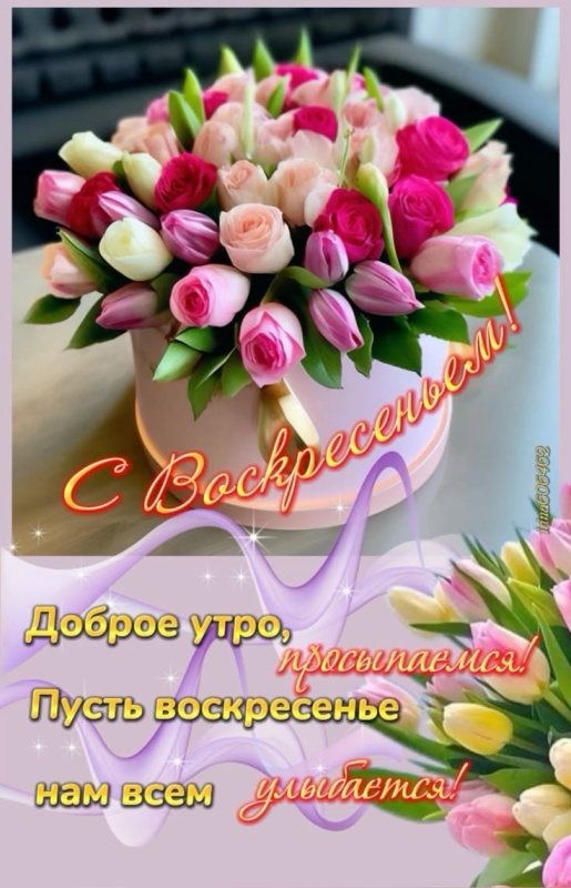 Картинки Доброе утро воскресенья (100 открыток). Красивые картинки "Доброе утро воскресенья"