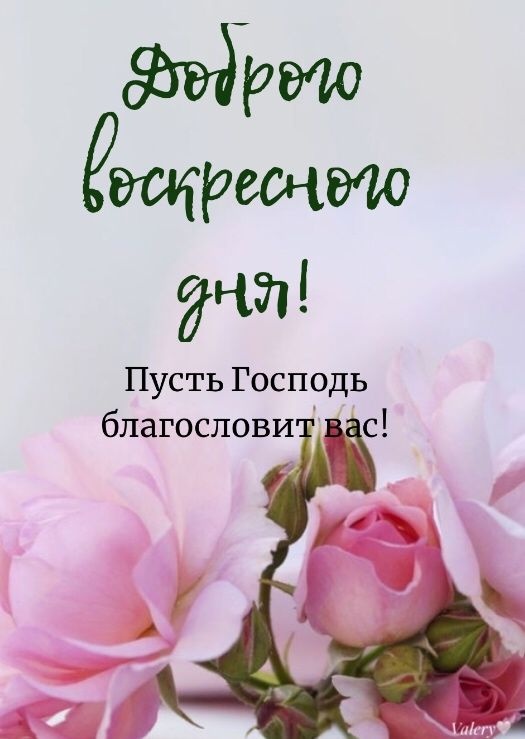 Картинки Доброе утро воскресенья (100 открыток). Картинки с надписью "Доброе утро воскресенья"