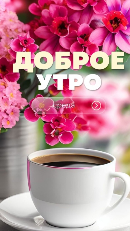Картинки Доброе утро среды (90 открыток). Красивые картинки Доброе утро среды