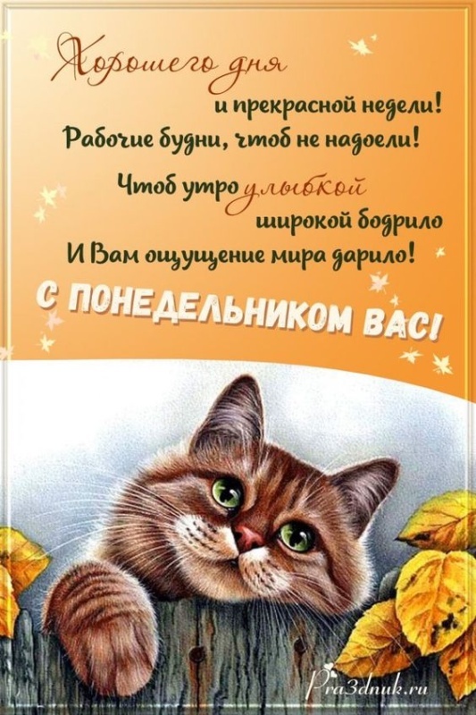 Картинки "Доброе утро понедельника" . Прикольные картинки с добрым утром понедельника