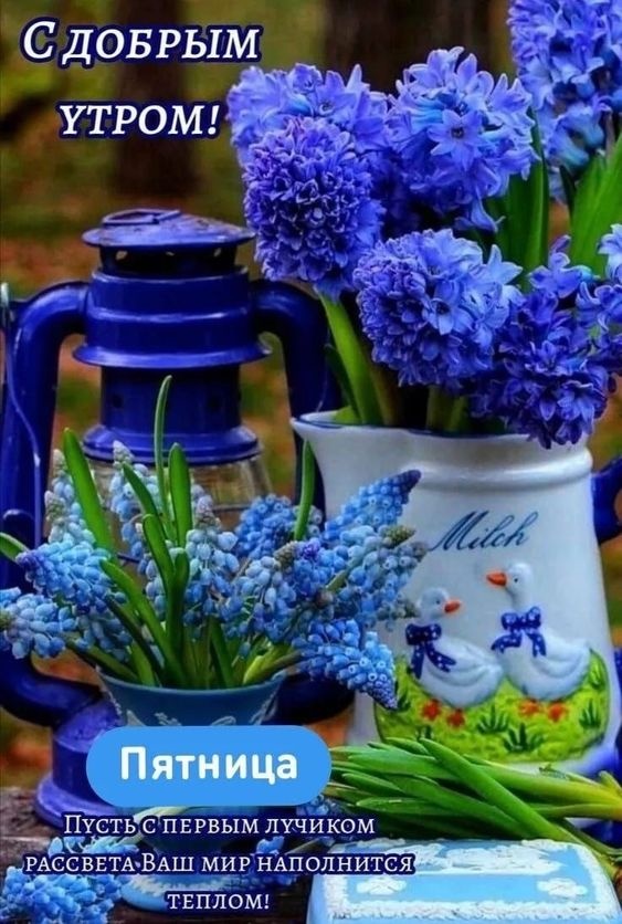 Картинки Доброе утро пятницы. Красивые картинки Доброе утро пятницы