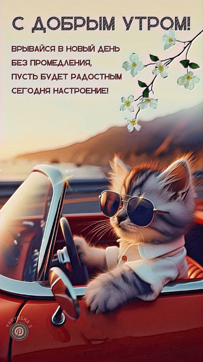 Прикольные картинки с добрым утром. Доброе утро - прикольные картинки с надписями