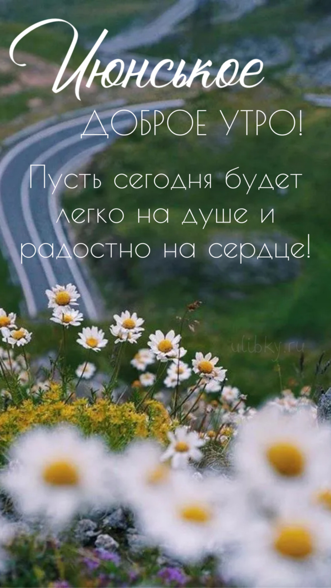 Картинки с добрым июньским утром (140 открыток). Позитивные картинки с пожеланием Доброго июньского утра