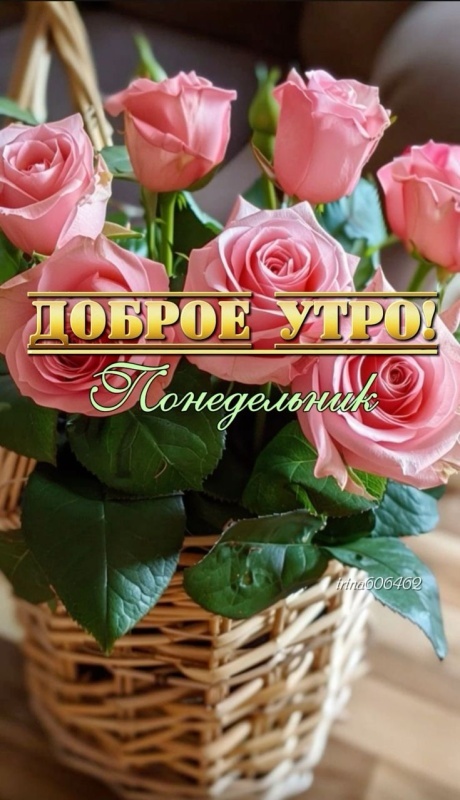 Картинки "Доброе утро понедельника" . Красивые картинки Доброе утро понедельника