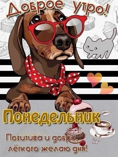 Картинки "Доброе утро понедельника" . Прикольные картинки с добрым утром понедельника