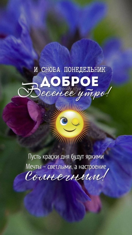 Картинки "Доброе утро понедельника" . Красивые картинки Доброе утро понедельника