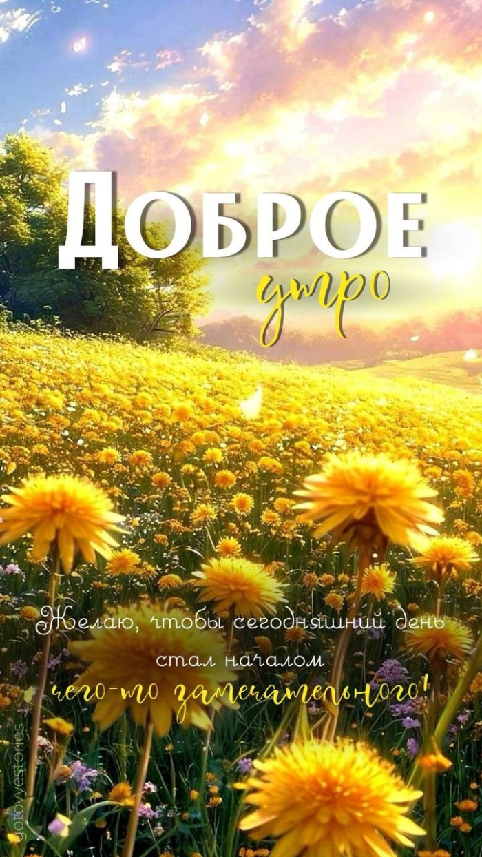 Картинки с добрым июньским утром (140 открыток). Позитивные картинки с пожеланием Доброго июньского утра