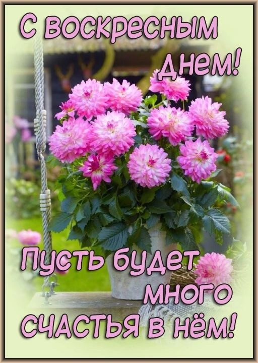 Картинки Доброе утро воскресенья (100 открыток). Картинки с надписью "Доброе утро воскресенья"