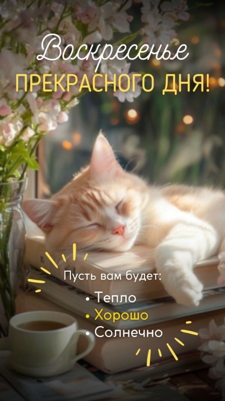 Картинки Доброе утро воскресенья (100 открыток). Прикольные картинки Доброе утро воскресенья