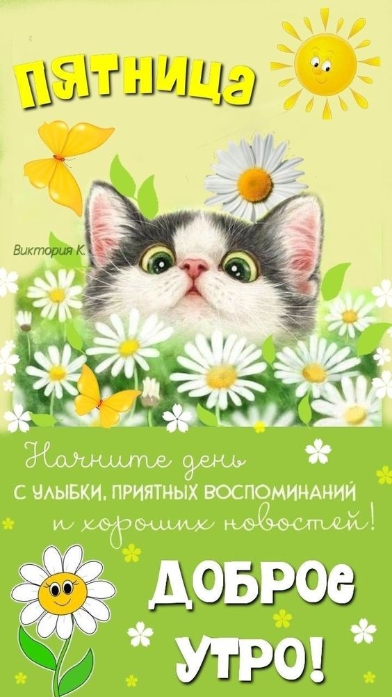 Картинки Доброе утро пятницы. Картинки Доброе утро пятницы прикольные 