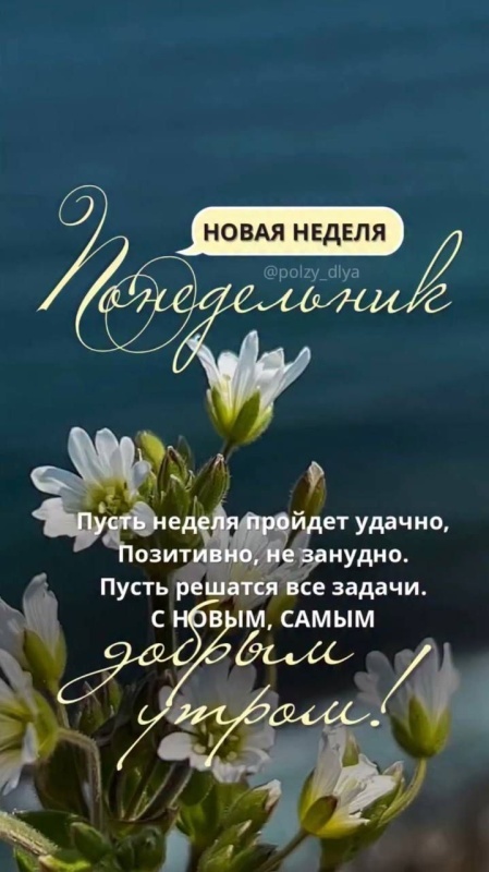 Картинки Доброе утро понедельника (90 открыток). Красивые картинки Доброе утро понедельника