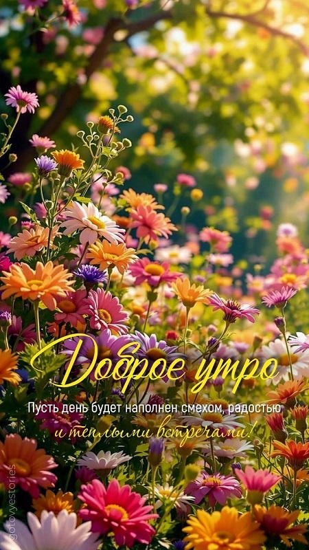 Картинки Доброе утро августа. Красивые картинки Доброе утро августа