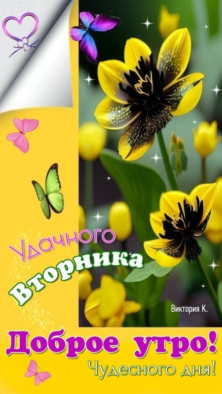Картинки Доброе утро вторника. Доброе утро вторника - картинки с надписью