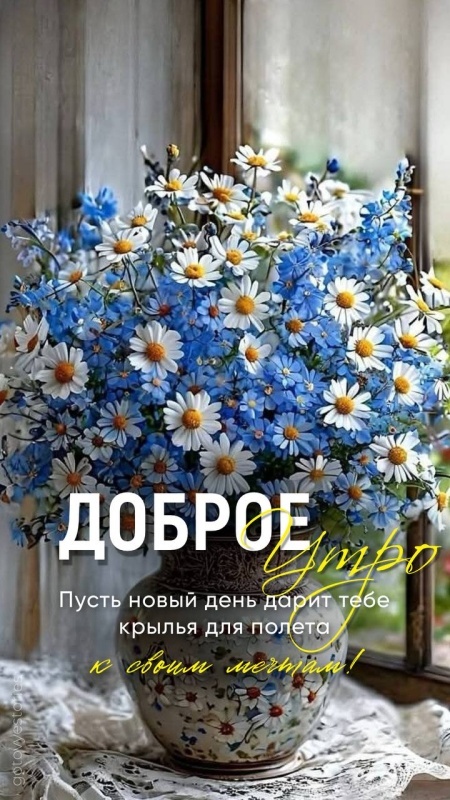 Картинки Доброе утро августа. С Добрым утром августа - картинки с надписями