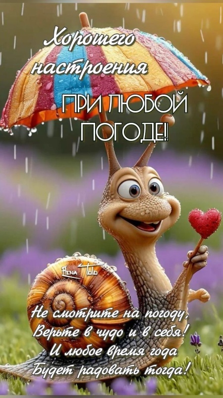 Картинки Доброе утро августа. С Добрым утром августа - картинки с надписями