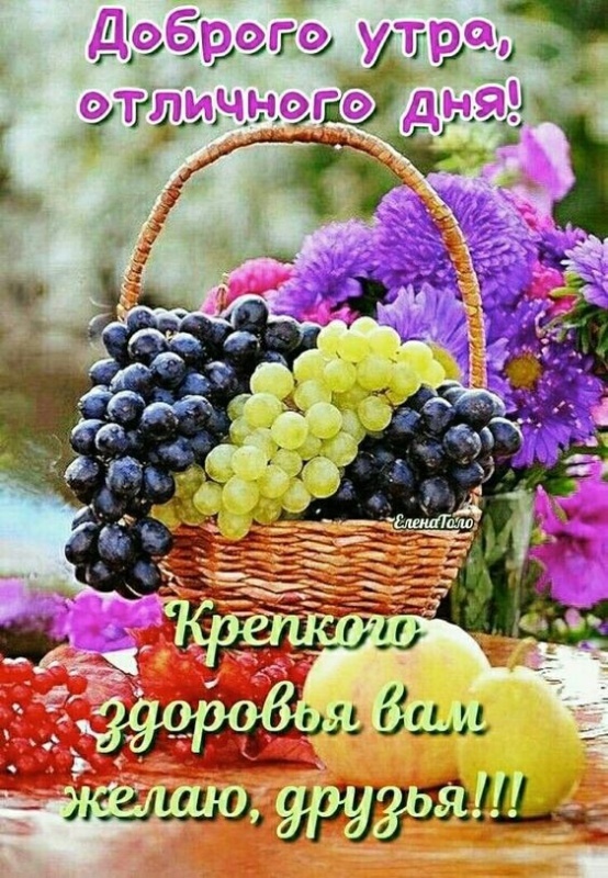 Картинки Доброе утро августа. Картинки "Доброе утро августа" позитивные