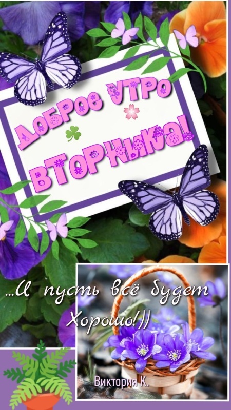 Картинки Доброе утро вторника. Доброе утро вторника - картинки с надписью