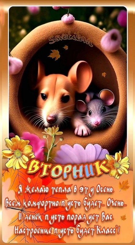 Картинки Доброе утро вторника. Позитивные картинки Доброе утро