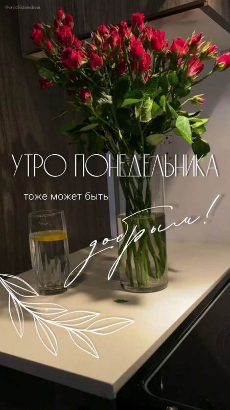 Картинки Доброе утро понедельника (90 открыток). Красивые картинки Доброе утро понедельника