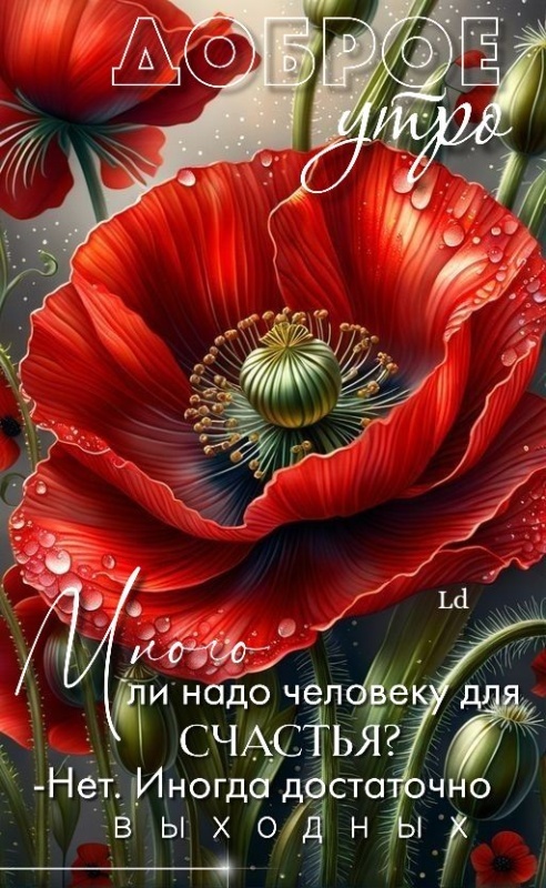 Картинки Доброе утро понедельника (90 открыток). Красивые картинки Доброе утро понедельника