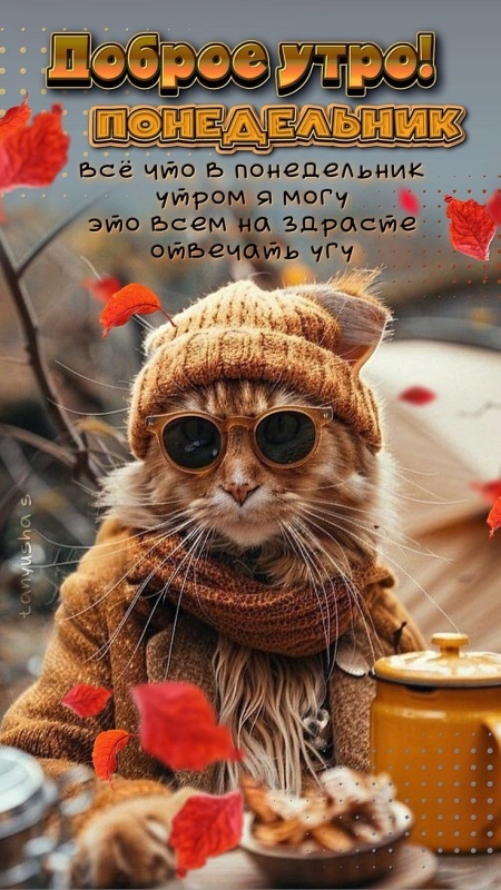 Картинки Доброе утро понедельника (90 открыток). Прикольные картинки Доброе утро понедельника