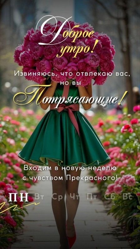 Картинки Доброе утро понедельника (90 открыток). Доброе утро понедельника - картинки позитивные