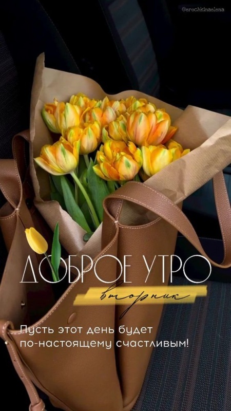 Картинки Доброе утро вторника. Картинки Доброе утро вторника - красивые и новые
