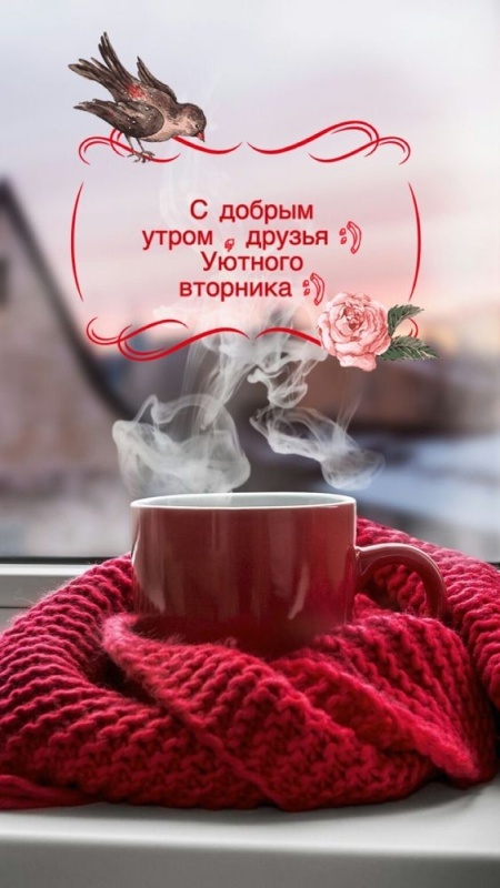 Картинки Доброе утро вторника. Картинки Доброе утро вторника - красивые и новые
