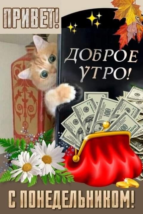 Картинки Доброе утро понедельника (90 открыток). Доброе утро понедельника - картинки позитивные