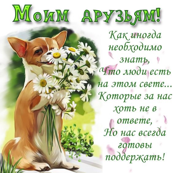 Картинки и открытки "Международный день дружбы". Международный День дружбы - открытки с поздравлениями